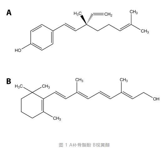 补骨脂酚化学式.jpg