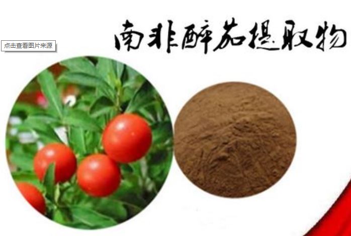 什么事南非醉茄植物提取物，以及南非醉茄提取物用途